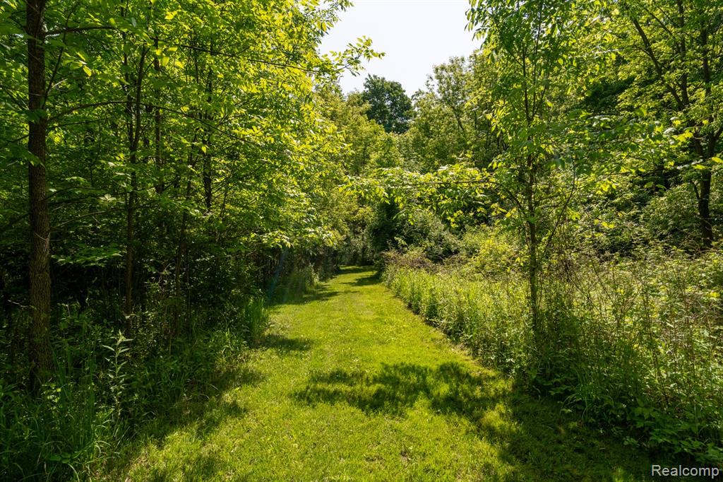 5177 Merwin Road, Lapeer, MI 48446 — Photo 50