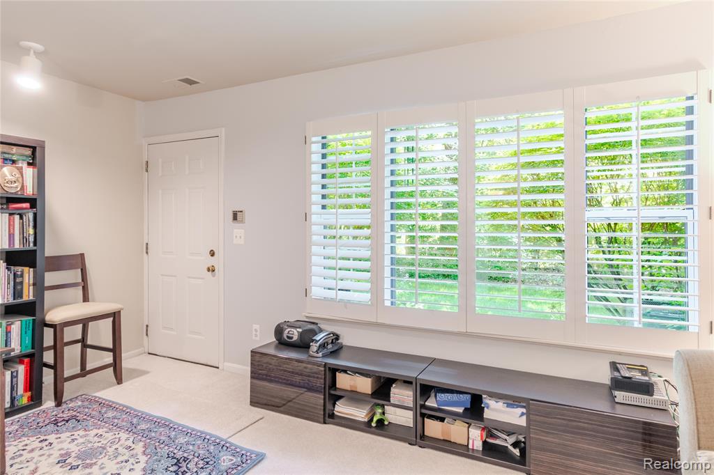 234 Lyn Anne Court, Ann Arbor, MI 48103 — Photo 23