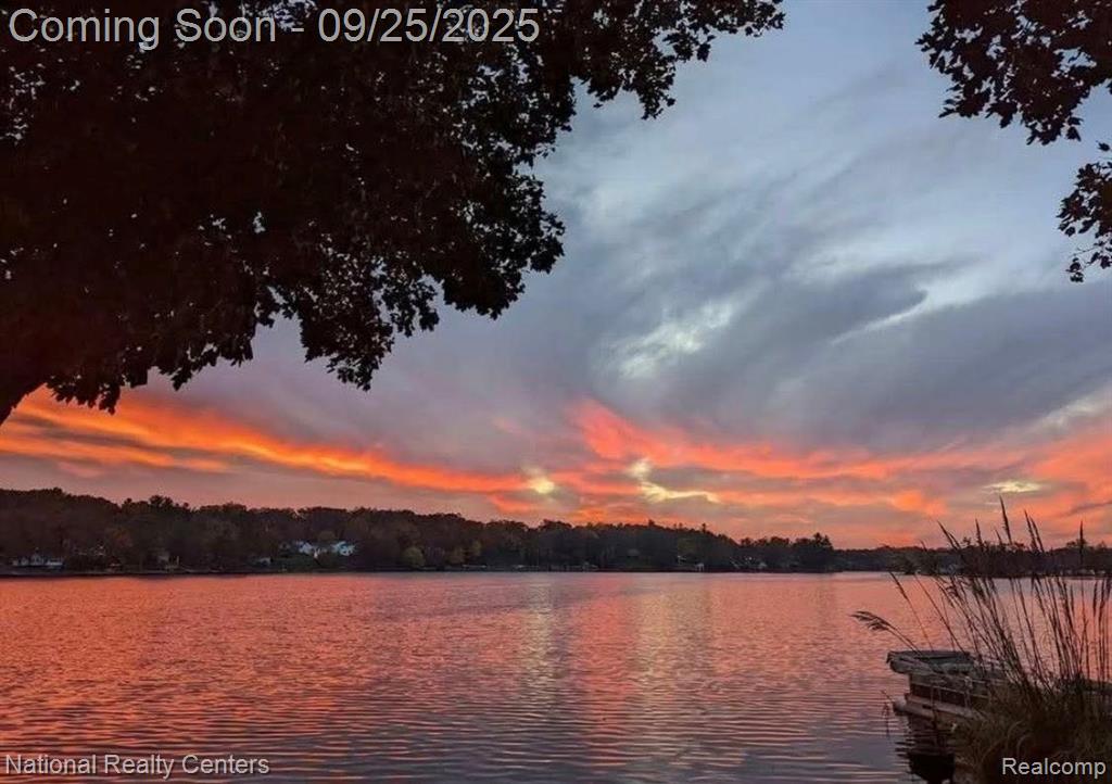 1136 Lakeshore Drive, Columbiaville, MI 48421 — Photo 31