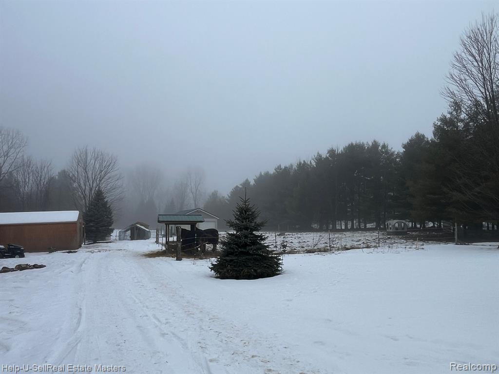 8036 ARENDT Road, Melvin, MI 48454 — Photo 29