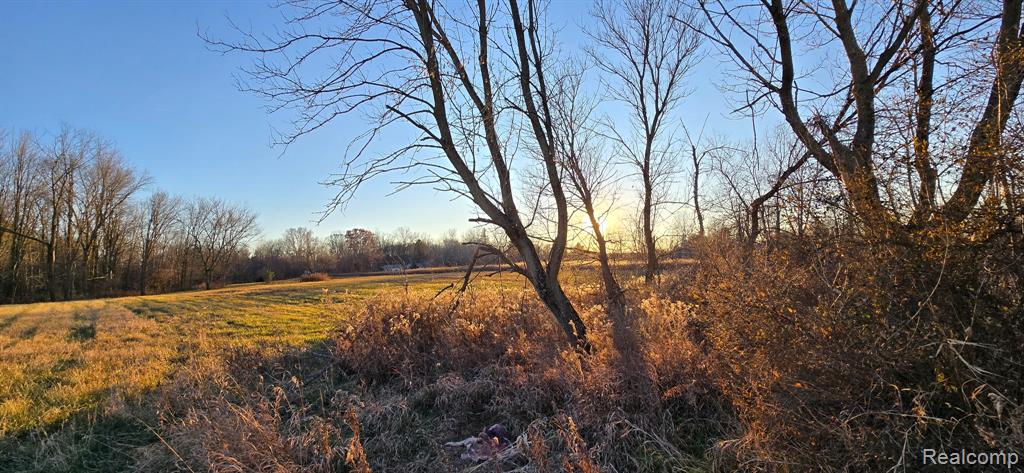 3 Mason Road, Webberville, MI 48892 — Photo 13