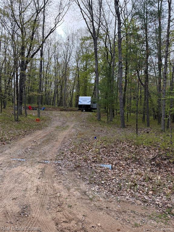 4701 Lake Road, Farwell, MI 48622 — Photo 23