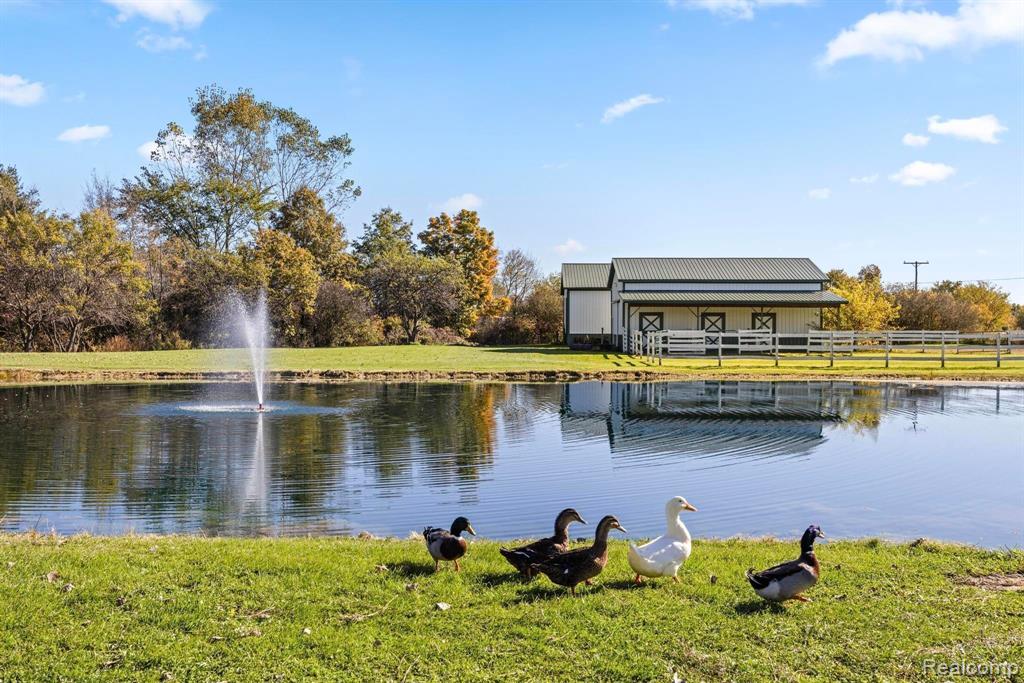 3985 Wadhams Road, China, MI — Photo 5