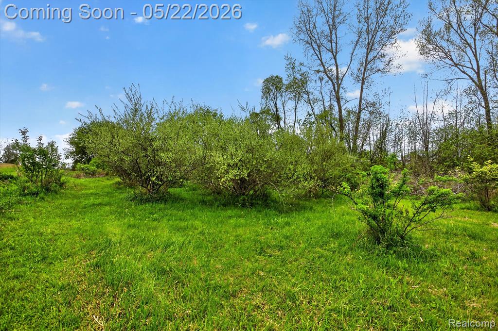 7950 Mayville Road, Marlette, MI 48453 — Photo 31