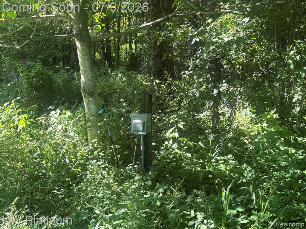 7280 North Road Road, Burtchville, MI 48059 — Photo 40