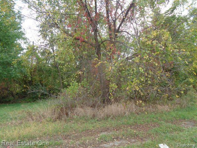 12936 FIELDING Street, Detroit, MI 48223 — Photo 8
