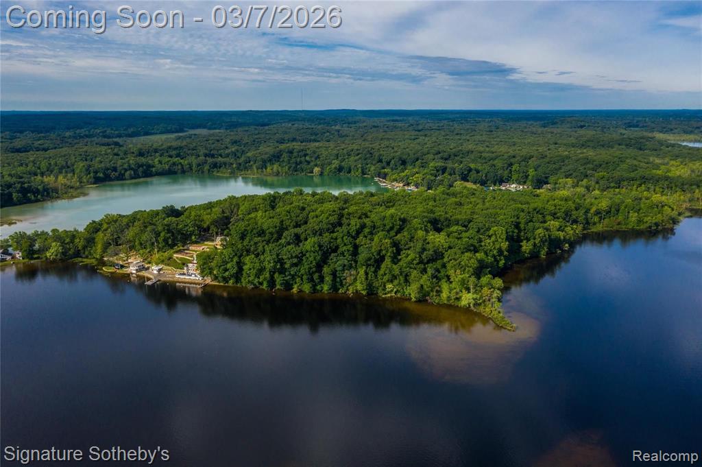 14625 Edgewater Drive, Gregory, MI 48137 — Photo 3