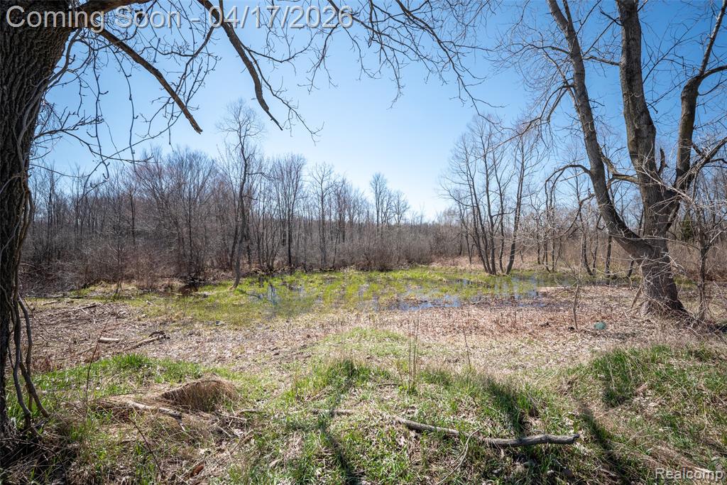 825 W Rose Center Road, Holly, MI 48442 — Photo 14