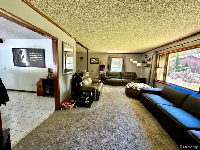 6087 Cyclone Road, Otter Lake, MI 48464 — Photo 11