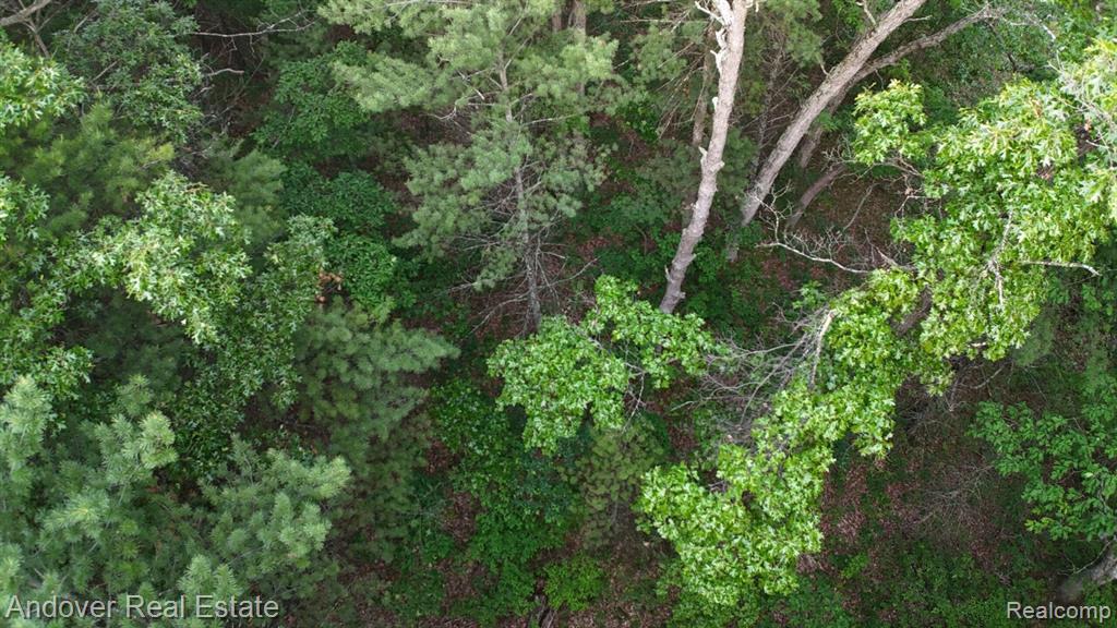 Nichols Road, Holton, MI 49425 — Photo 4