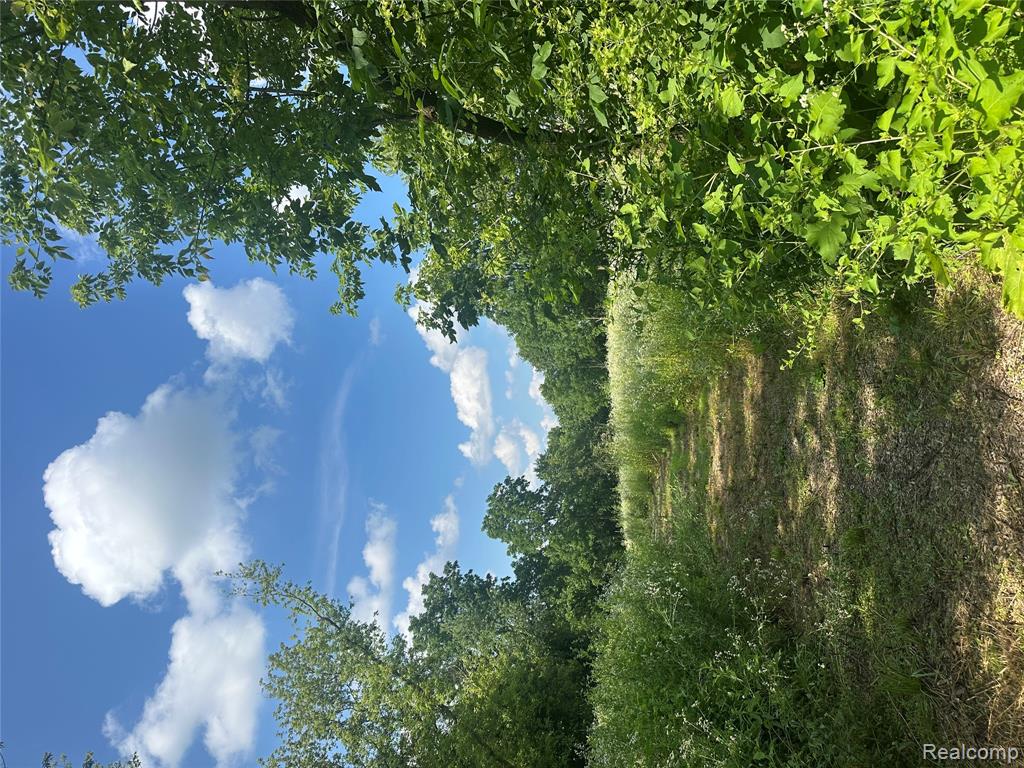 VL Lakeview Park Drive, Fenton, MI 48430 — Photo 3