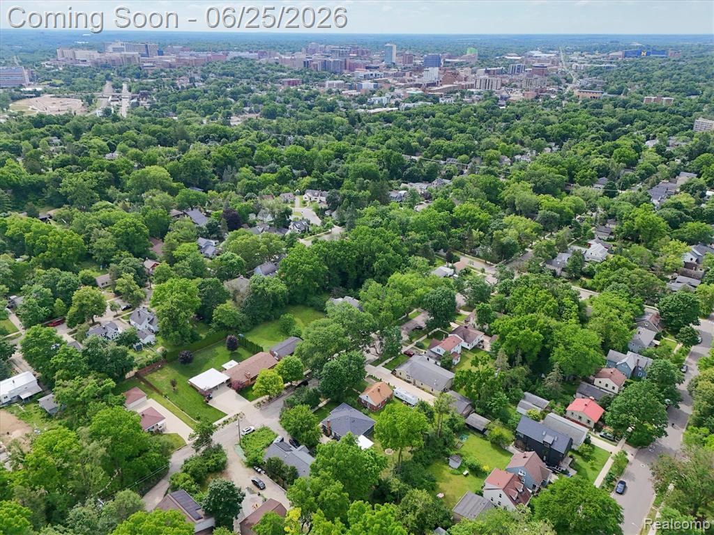 1101 Gott Street, Ann Arbor, MI 48103 — Photo 54