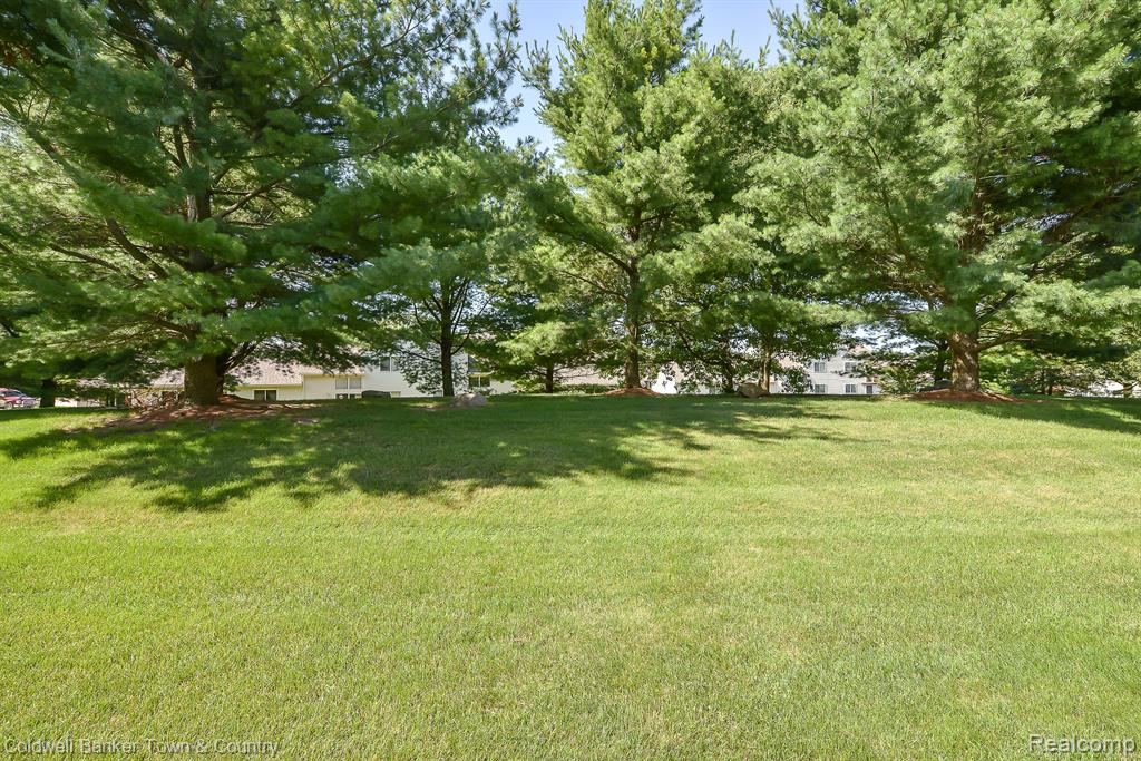 476 HOSTA, Howell, MI 48843 — Photo 5
