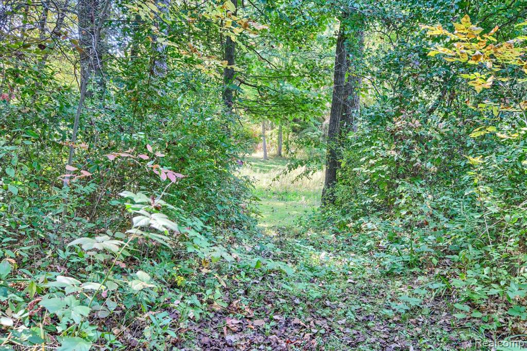 171 Elk Lake Road, Attica, MI 48412 — Photo 41