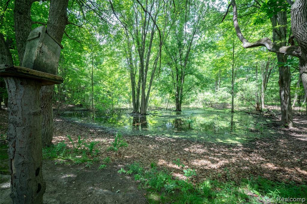 560 Coats Road, Lake Orion, MI 48362 — Photo 39