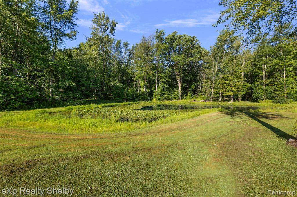 5697 GLEASON Road, Emmett, MI 48022 — Photo 50