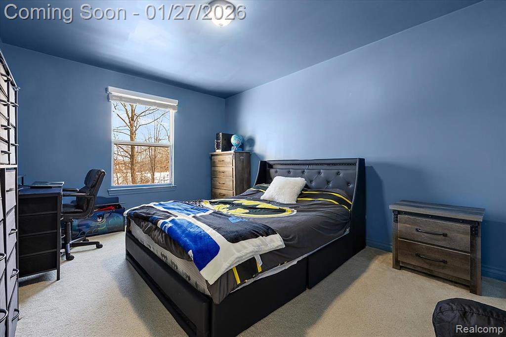 43149 Wilderness Drive, Canton, MI 48188 — Photo 19