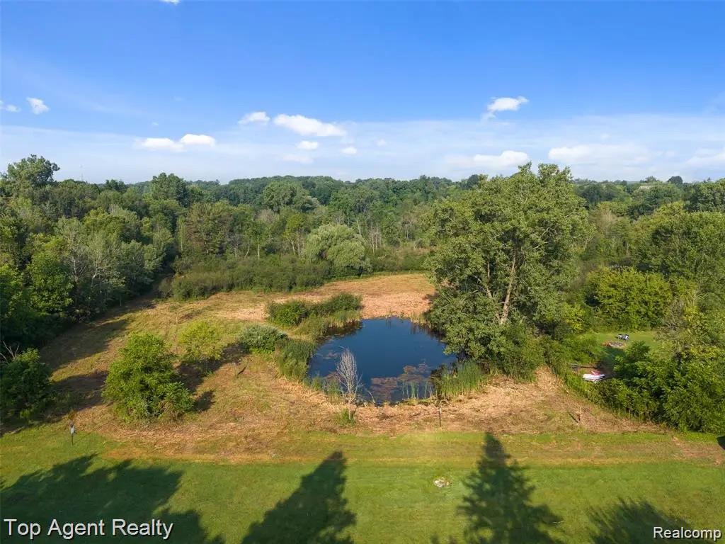 4499 West Street, Leonard, MI 48367 — Photo 4