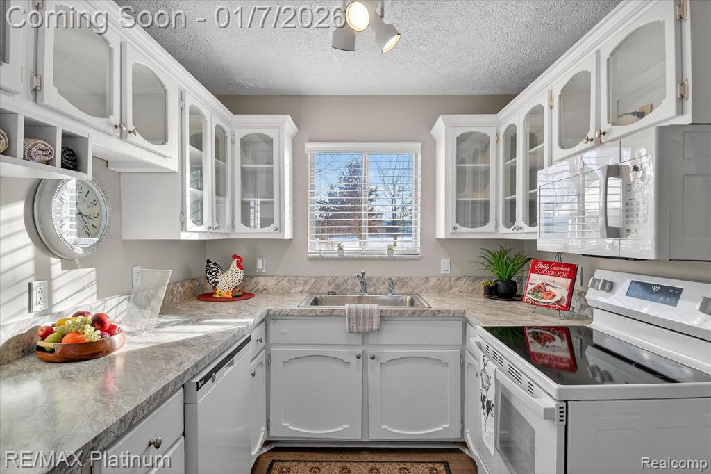 5959 Alan Drive, 54, Brighton, MI 48116 — Photo 6