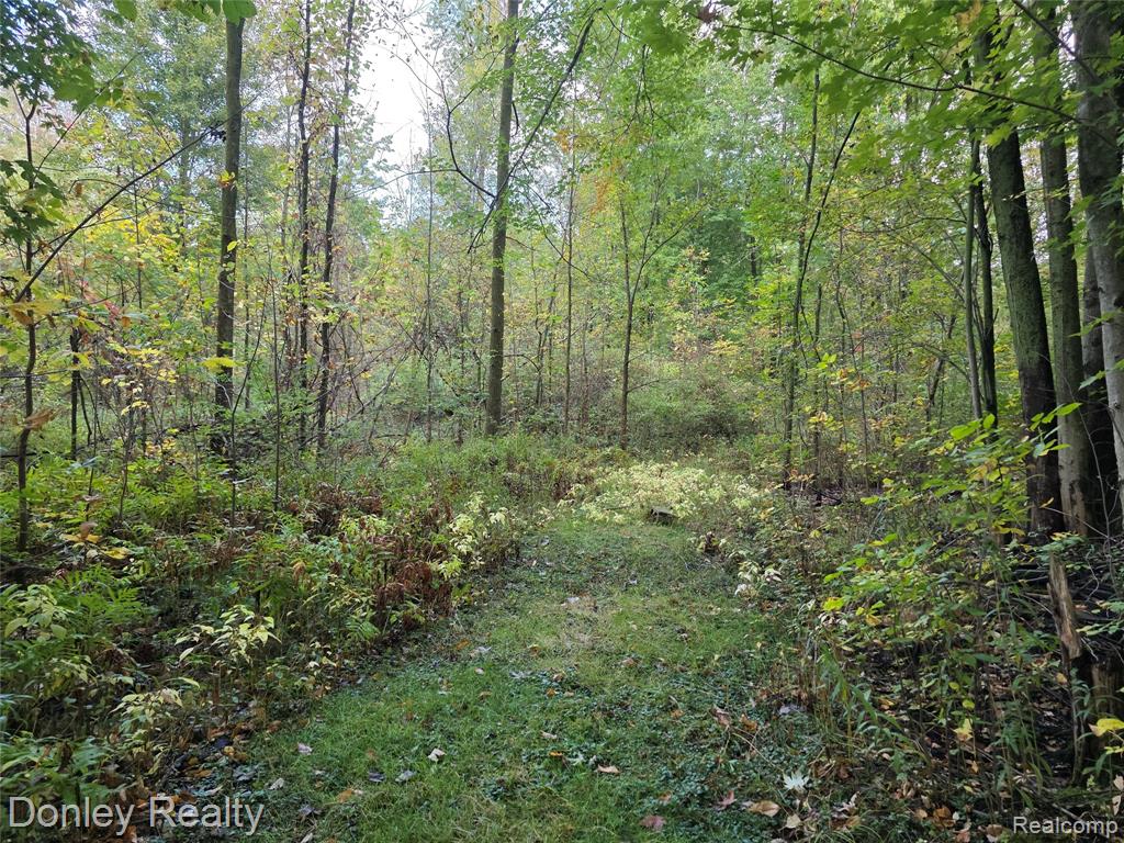 5690 Van Dyke Road, Cass City, MI 48726 — Photo 5