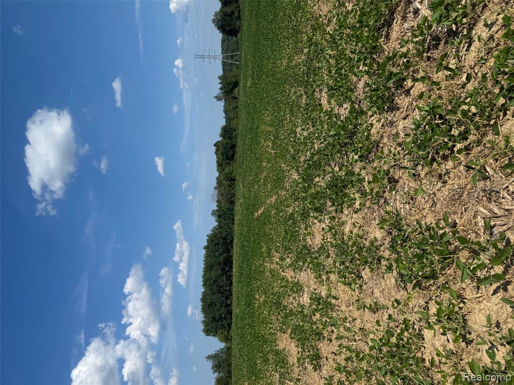 VL S Mill Road, Dryden, MI 48428 — Photo 3