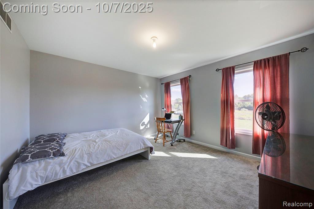 8660 Spicer Road, Brighton, MI 48116 — Photo 27