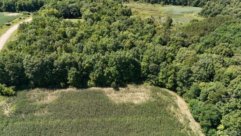 Parcel 4 Sycamore St, Dryden, MI 48428 — Photo 3