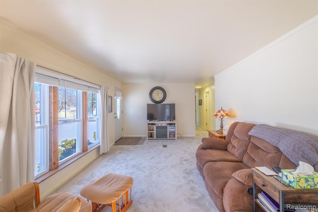 6109 4TH Street, Mayville Vlg, MI 48744 — Photo 15