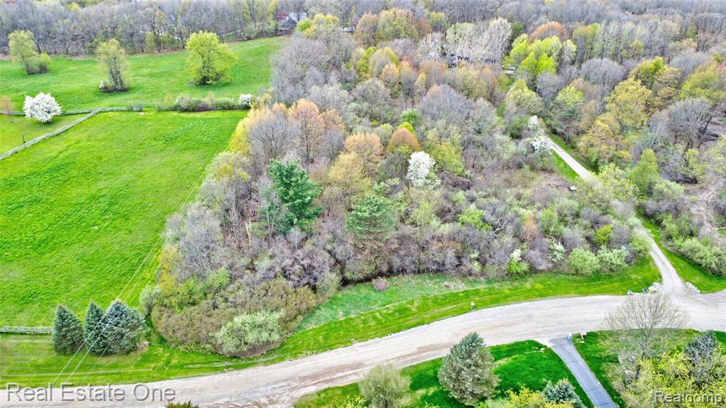 590 Judi Ann Lane, Holly, MI 48442 — Photo 2