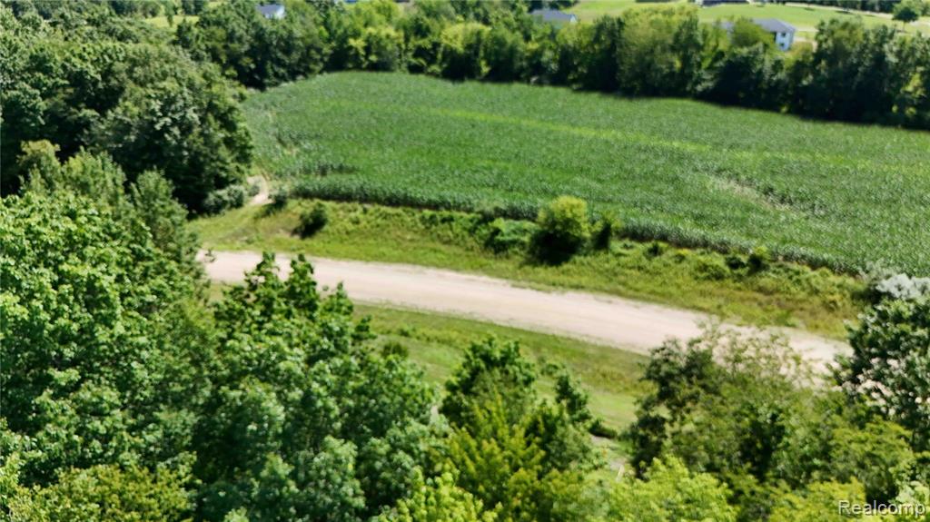 Parcel 6 Sycamore St, Dryden, MI 48428 — Photo 2