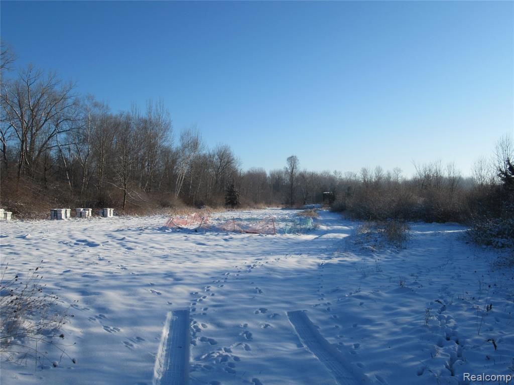 VACANT LAND S. PLAIN Road, Caro, MI 48723 — front exterior