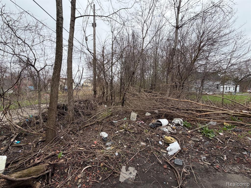 2540 W Forest Avenue - Photo 2