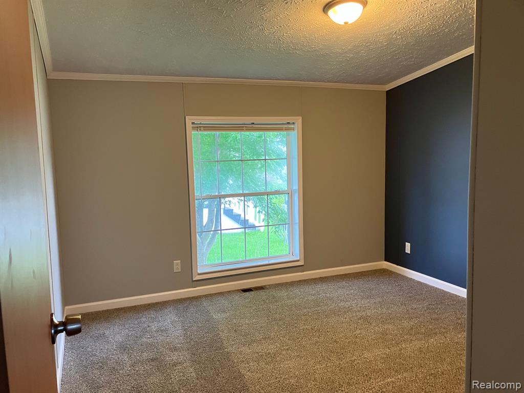 412 N Hidden Ridge Road, Morrice, MI 48857 — Photo 9