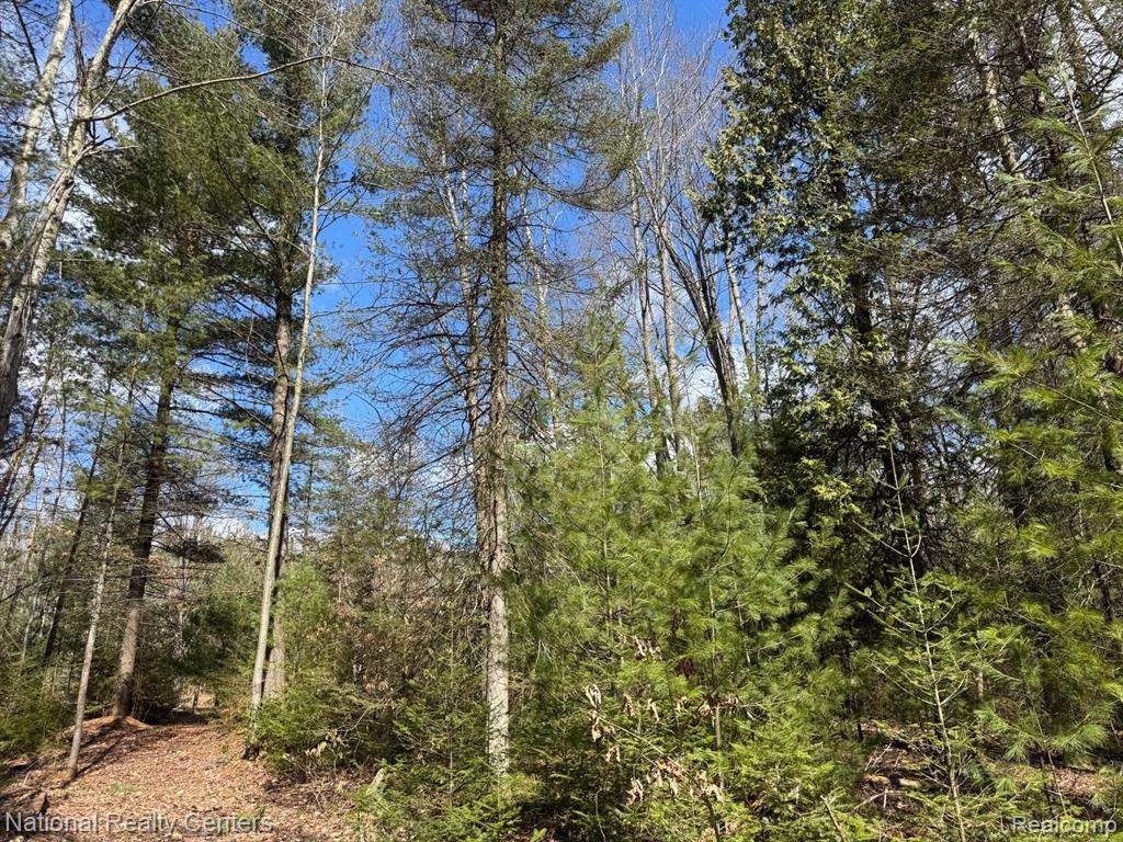 4233 Hardacre Trail, Houghton Lake, MI 48629 — Photo 27