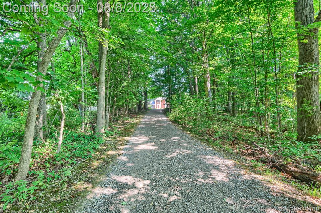 2784 S Blacks Corners Road, Imlay City, MI 48444 — Photo 3