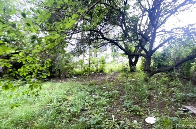 5014 Townsend Street, Detroit, MI 48213 — Photo 18