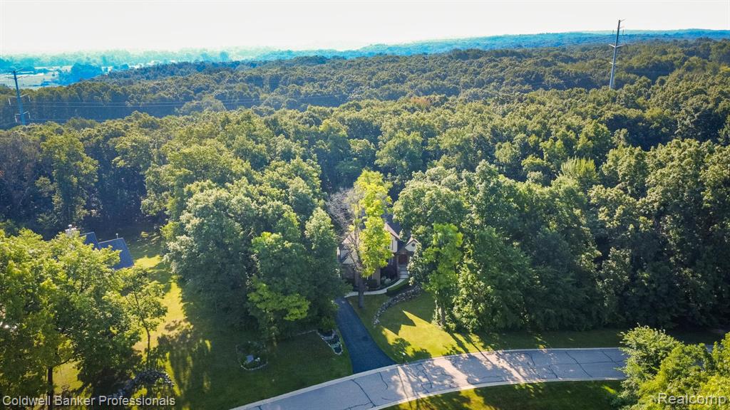 15317 Oak Hollow Drive, Holly, MI 48442 — Photo 40