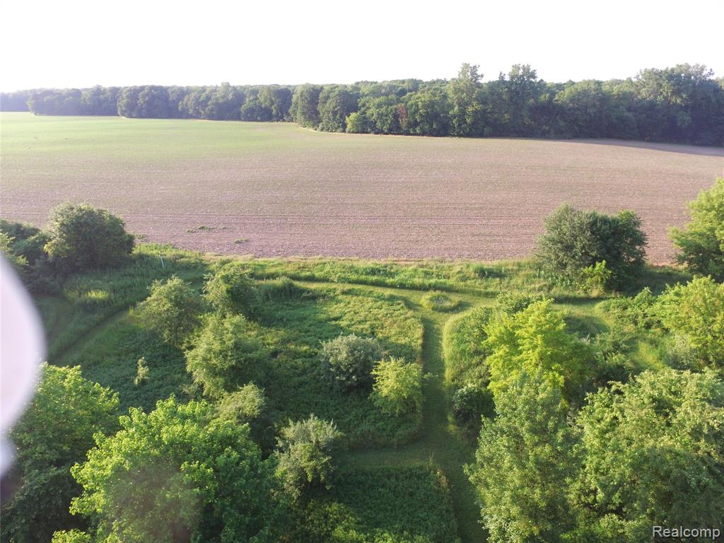 5393 Huschke Road, Webberville, MI 48892 — Photo 11