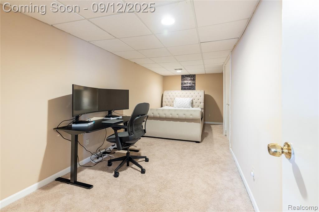 5129 Blue Spruce Drive, Ypsilanti, MI 48197 — Photo 36