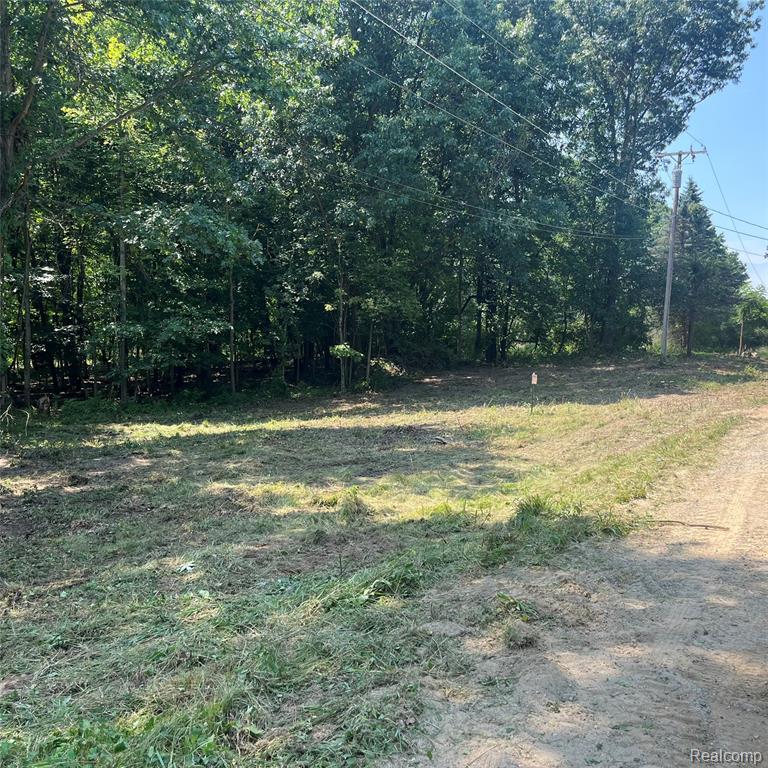 1255 Houghton Trail, Ortonville, MI 48462