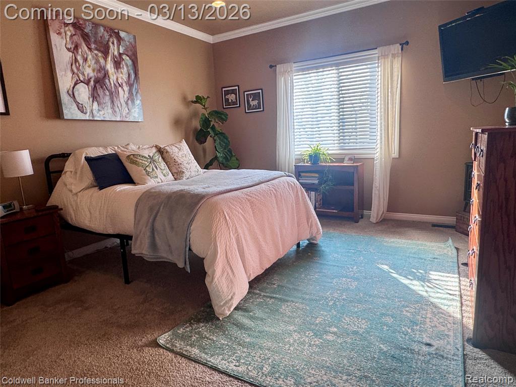 6060 INTRINSIC Lane, Imlay City, MI 48444 — Photo 19