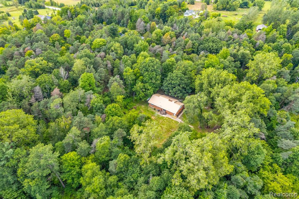 12811 FOLEY Road, Emmett, MI 48022 — Photo 58