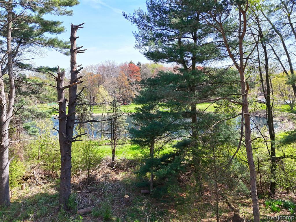 11575 Us Highway 31, Berrien Springs, MI 49103 — Photo 10