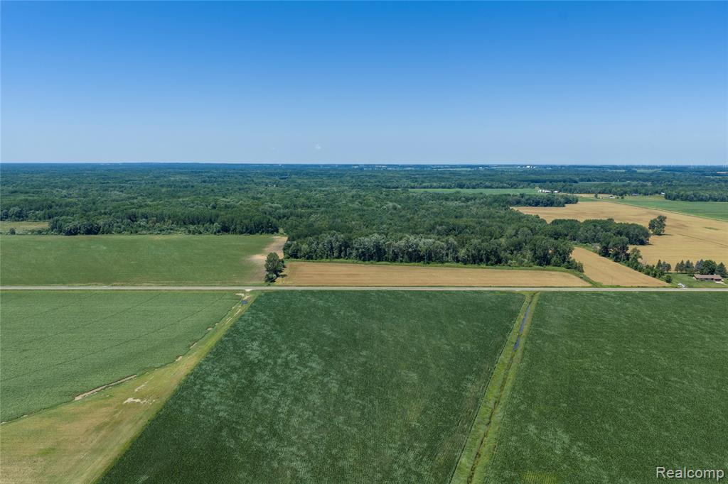 Parcel B Dodge Rd, Cass City, MI 48726 — Photo 15