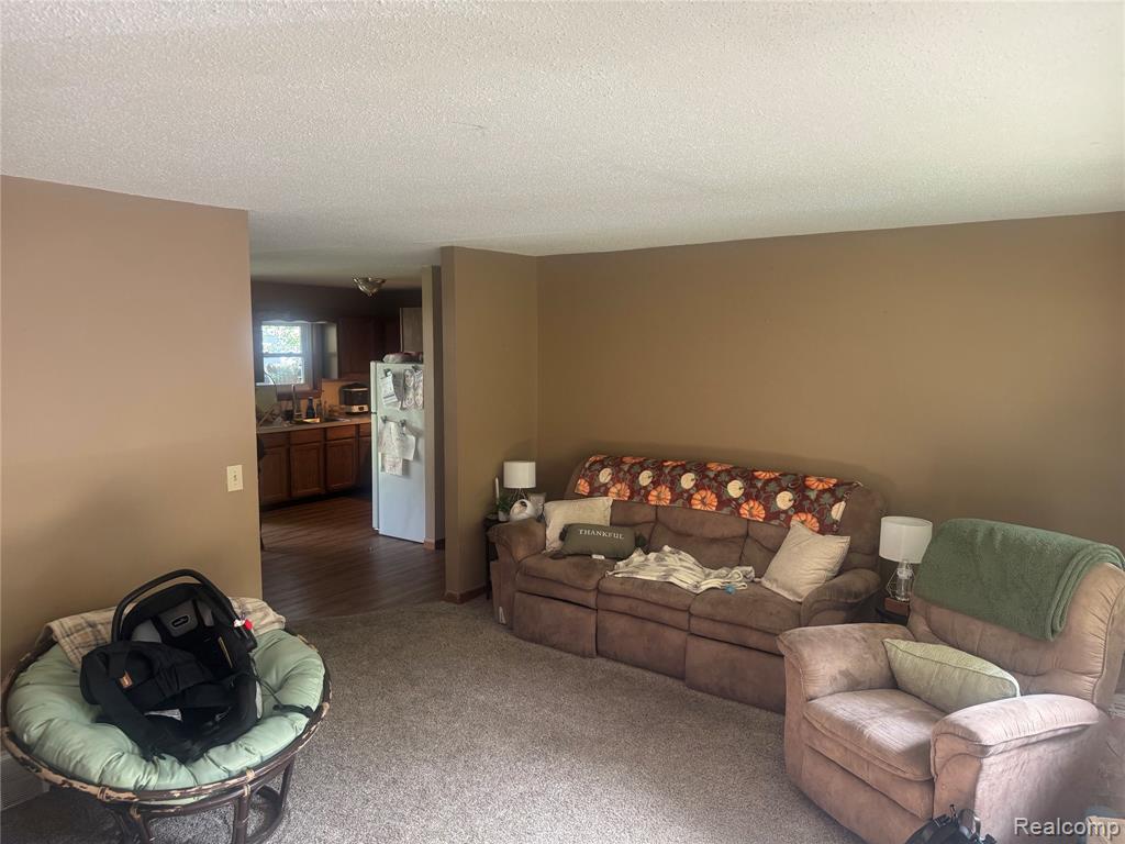 2839 Lamotte Street, Marlette, MI 48453 — Photo 3
