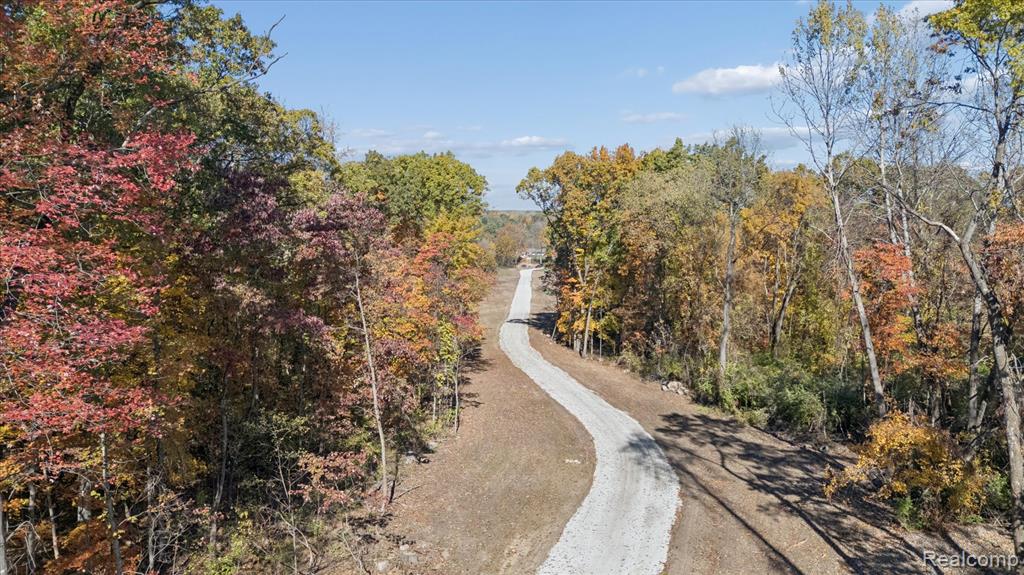 Parcel 3 E Coon Lake Rd, Howell, MI 48843 — Photo 8