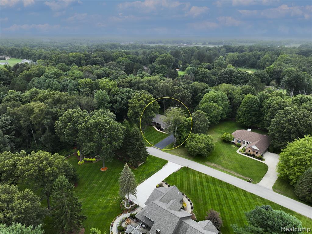 15591 ALANNAH CHRISTINE Drive, Marshall, MI 49068 — Photo 4