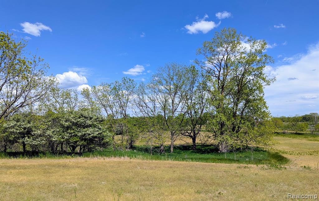 Parcel D - Hogan Road, Linden, MI 48451 — Photo 11