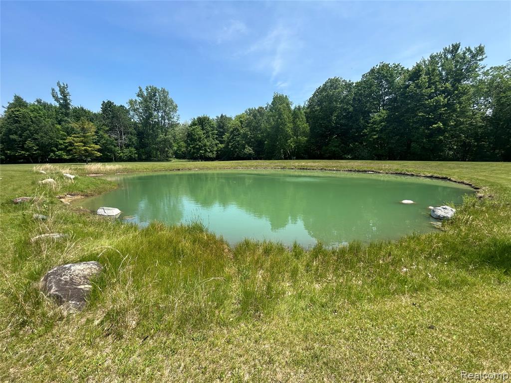 4420 Five Lakes Road, North Branch, MI 48461 — Photo 42