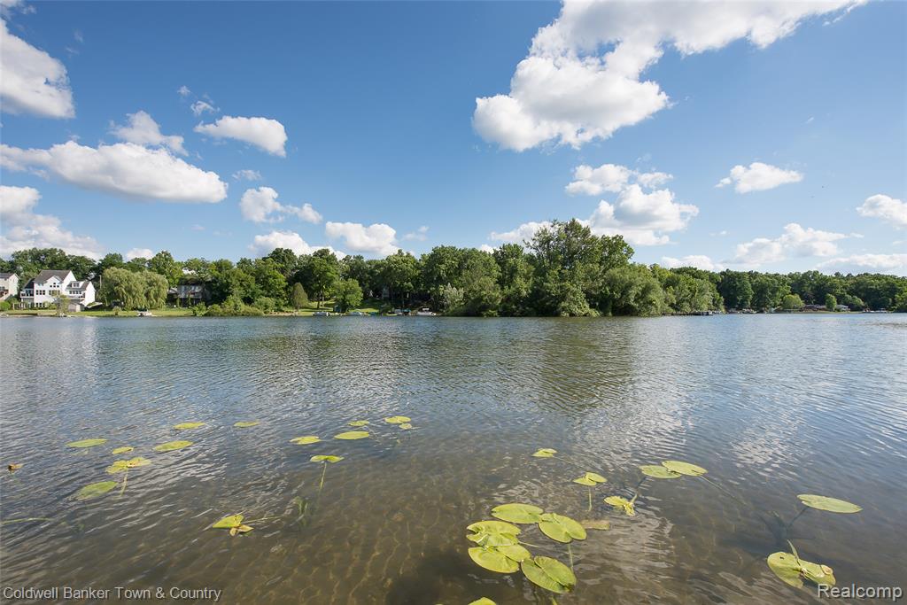 11634 Island Court, Hartland, MI 48353 — Photo 10